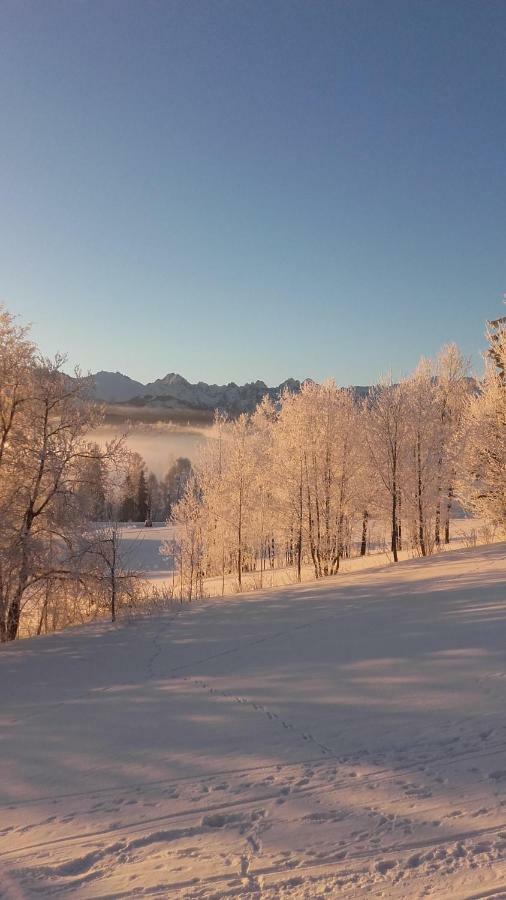 Willa Goralskie Klimaty Bukowina Tatrzanska Luaran gambar